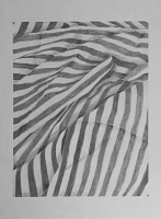 Wendy Kelly Untitled [Stripe] Pencil on paper 76 x 56 cm
