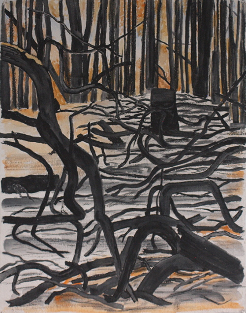 Wendy Kelly After the fire, Argyle WA 2025. Graphite and watercolour on paper 66.5 x 51.5 cm